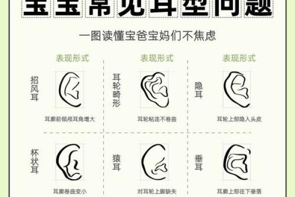 耳朵面相解读：细说耳朵的形状与命运的联系