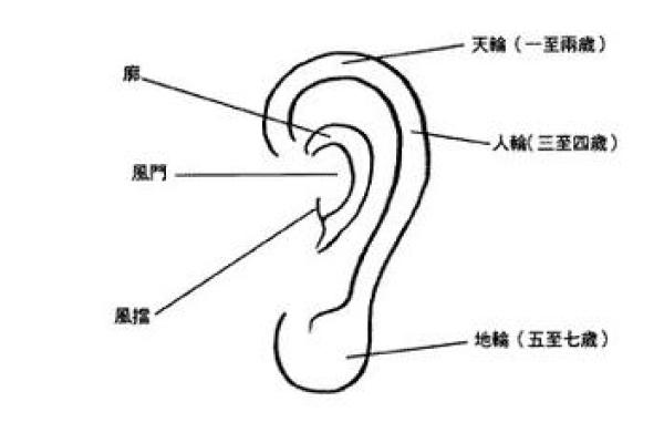 耳朵面相解读：细说耳朵的形状与命运的联系