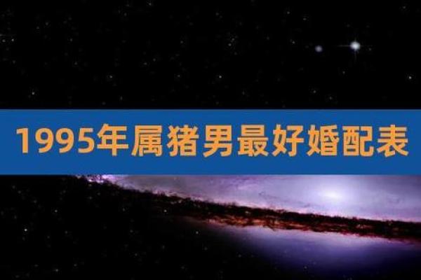 1995年属猪的命运解析：走向幸福人生的精彩旅程