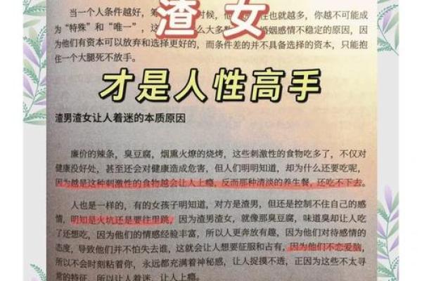 女人伤官命的独特魅力与人生智慧探讨