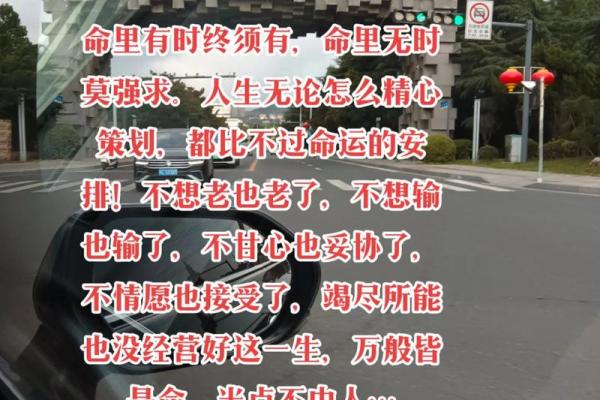 命有玄机，人生如梦，风云变幻之间的选择与宿命
