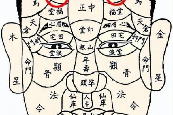 女命有天喜星，幸福人生的预兆与解读