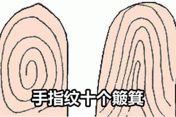 掌握命运：女性手上十个簸箕的命理解析