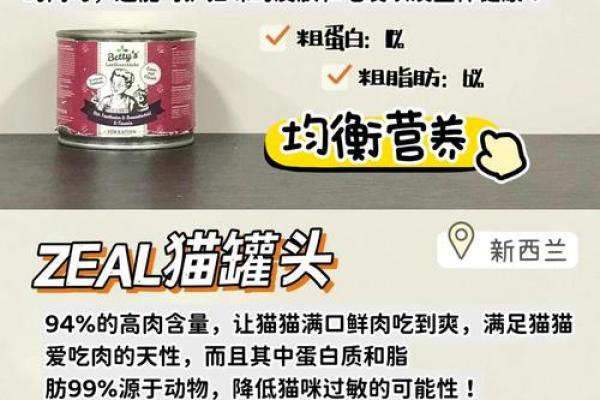 救猫命：有效药物选择与使用指南，助你爱猫健康快乐！