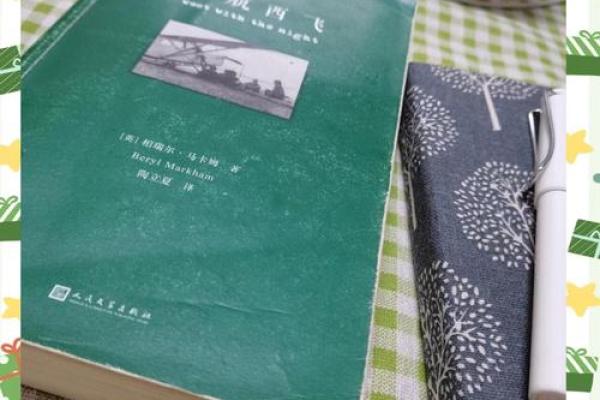 命里独马单枪：揭示孤独与勇气的奇妙旅程