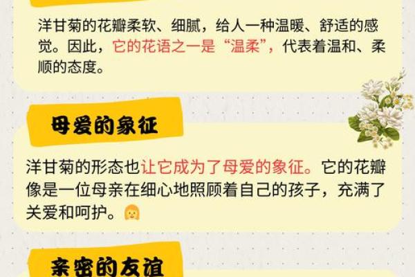 女人脚踩二斗：探索命运与生活的深层寓意