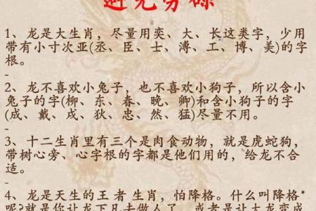 女龙男属命格解析:如何走出人生精彩篇章