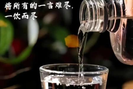 命里无时来点酒,人生何妨酌一杯?