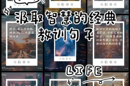 智慧与命运的交响：八字分析与人生方向的选择