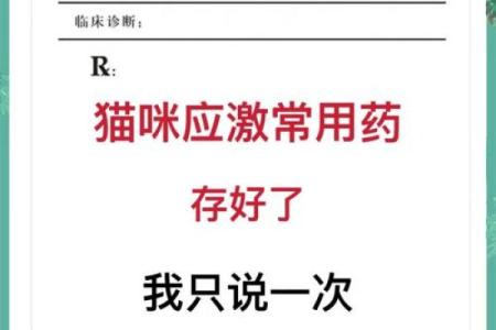救猫命用什么药？掌握这几种常见药物的使用技巧！