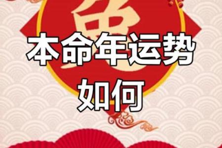 兔年命格解析：揭示2023年的神秘力量与运势