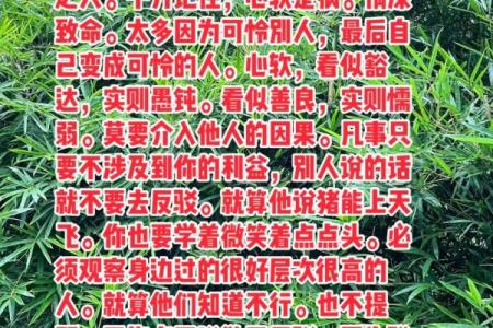 命里有金无斗，探寻人生的价值与选择
