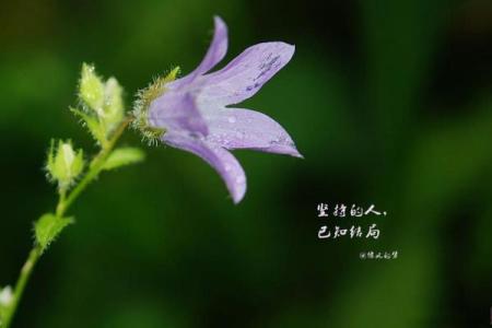 探索离命西四命的深刻内涵与人生哲理
