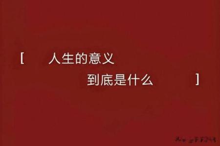 当生命的意义被质疑,我们该何去何从?