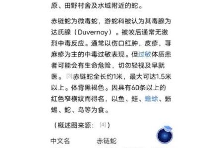 命理中的金属蛇：深度解析与生活启示