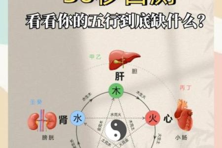 命里缺火?看看为什么不补木,点燃生命的光芒!