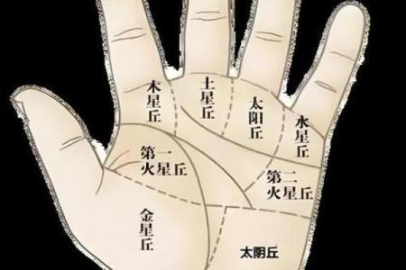 命理线解析:了解你手中的命运密码,揭示生活的奥秘与潜能
