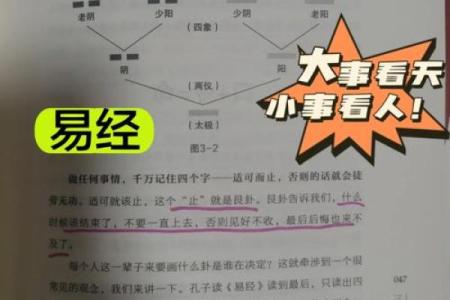 探析乾命:揭开命卦背后的智慧与奥秘