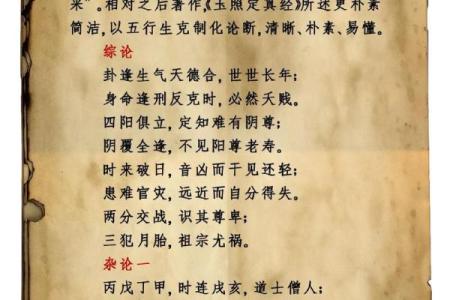 命理指引:探索人生路径的智慧与启示