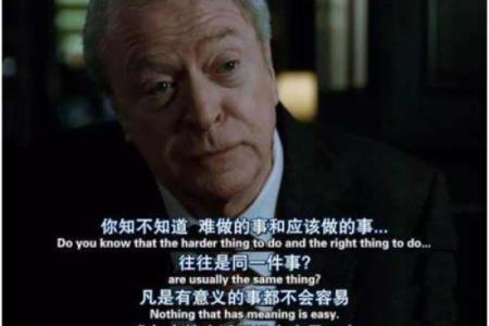 用我的命埋单:生命的选择与反思