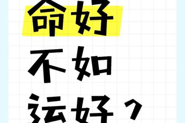命理学视角下，选择适合你的座驾，助你行车顺畅人生路！