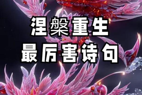 命理中的枯木逢春：如何在逆境中寻找希望与重生