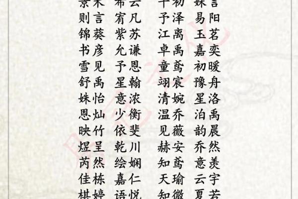 在木命男孩的名字中寻找生命的力量与灵感