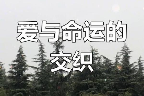 解读女命无共夫之命：命运与情感的微妙交织