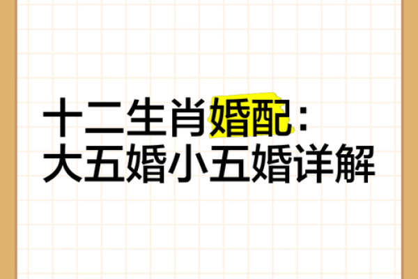 命理相合：揭开生肖婚配的神秘面纱