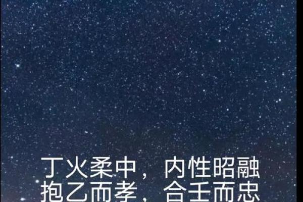 九命猫命格的人，其命运与个性特征解析