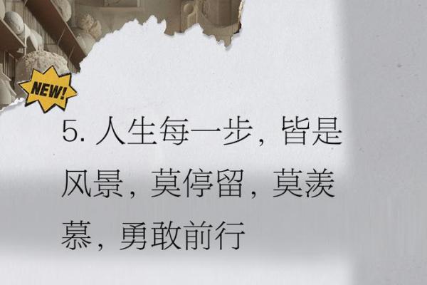 探索“命”的深意：生命中的选择与际遇