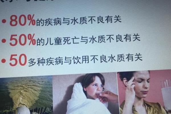 命局中的水二局：探索水的力量与人生启示