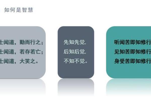 命好八字好：解密命运背后的智慧与人生启示