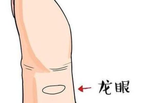 通过看手掌识命，揭示命运的奥秘与人生的走向
