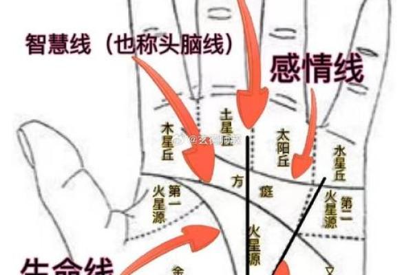 通过看手掌识命，揭示命运的奥秘与人生的走向