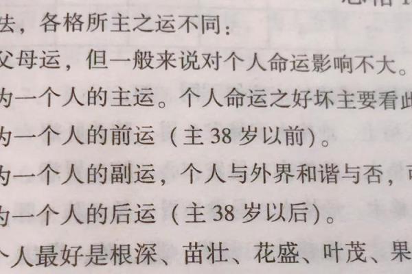 探秘农历二八二十九，命运背后的神秘符号与人生之路