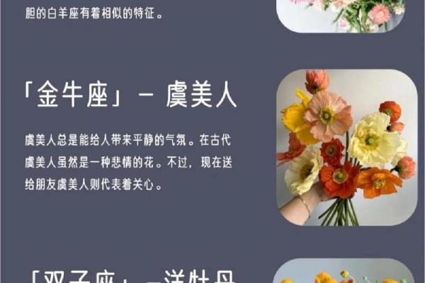 命好的女人是什么命？解析命运与气质的微妙关系