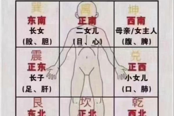 女命526究竟意味着什么？揭开命理中的财富密码！