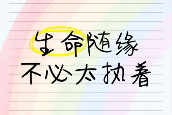 命也是缘，缘也是命——探讨人生的曲折与美好