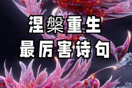 命理中的枯木逢春：如何在逆境中寻找希望与重生