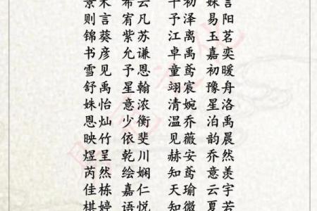 在木命男孩的名字中寻找生命的力量与灵感