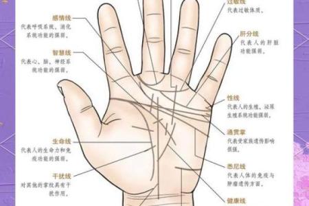 女命八字中的插脚解析：命运掌控者的秘密