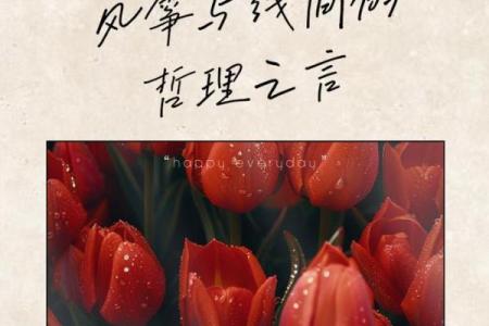 命里有余量，生命中的机遇与挑战的平衡之道
