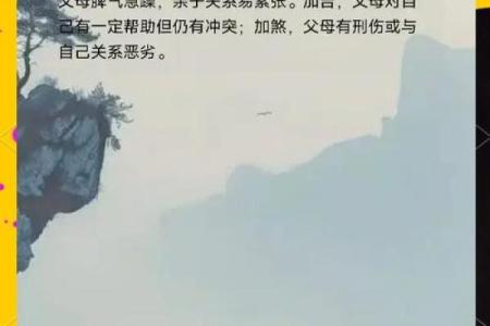 辰命主的星宿解析:探索命宫背后的秘密与影响