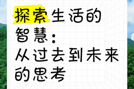 探索“叩知无命”:生命与智慧的深刻思考