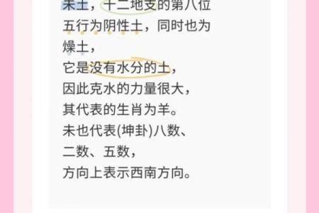 女命八字土旺的深层解析与命运展望