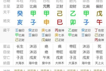 九五年八月二十二日生的命运解析：探究命运之谜