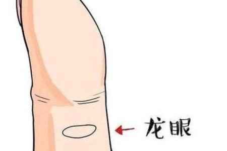 通过看手掌识命，揭示命运的奥秘与人生的走向