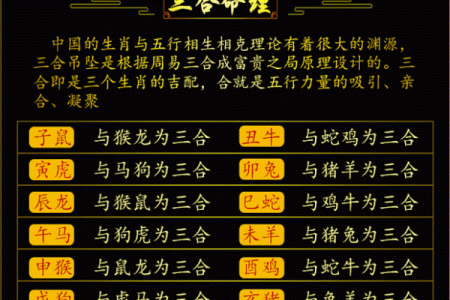 解读林嘉恩的五行命理：她的性格与运势之旅