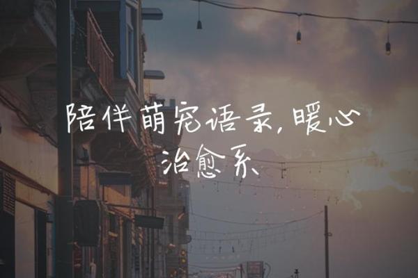 命里相伴的东西：如何找到陪伴一生的幸福源泉
